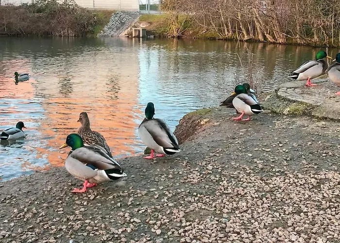 アパート Wohlfuehl- *